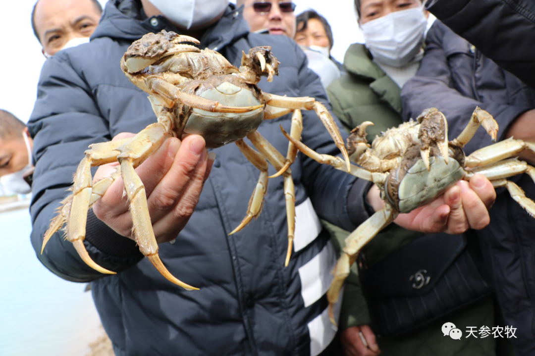 聚星登陆